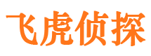 威县市侦探公司